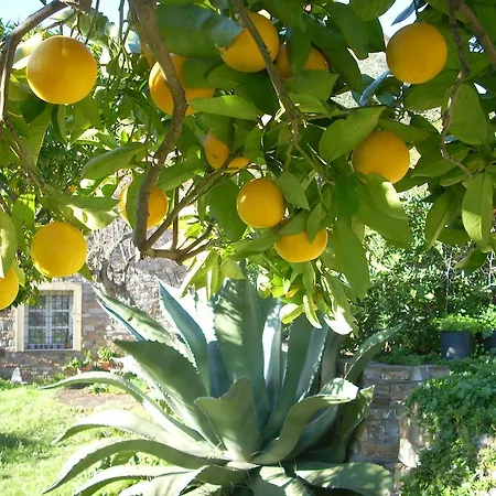 בית חווה Agriturismo Borgo Muratori דיאנו מרינה