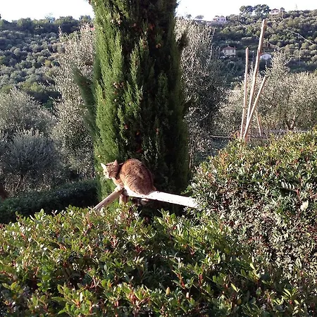 בית חווה Agriturismo Borgo Muratori *
