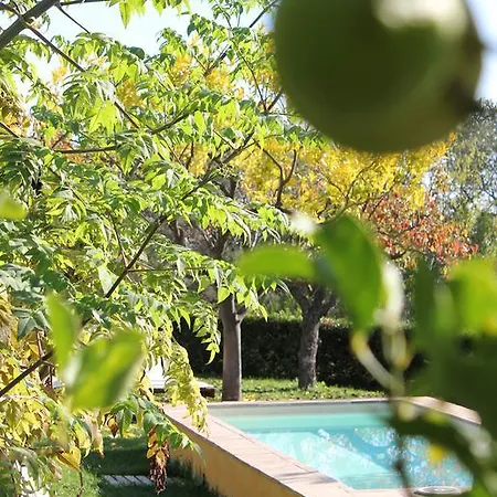 בית חווה Agriturismo Borgo Muratori *
